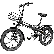 引取限定　Fly fish 　電動アシスト自転車 Amazon | 電動アシスト自転車 20インチ 折りたたみ自転車